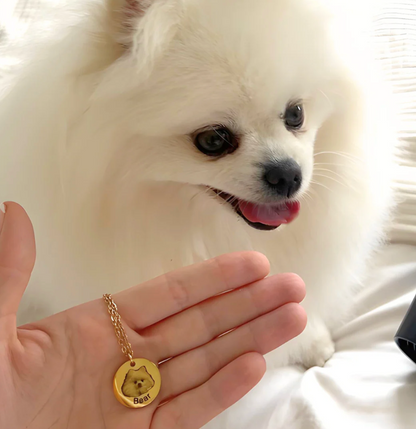 ❤️ Collar personalizado con la foto de tu mascota
